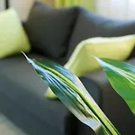 Shahbazian House Апартаменты Пловдив