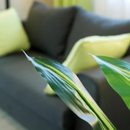 Shahbazian House Apartment Plowdiw