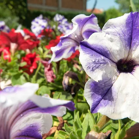 Shahbazian House Appartement *