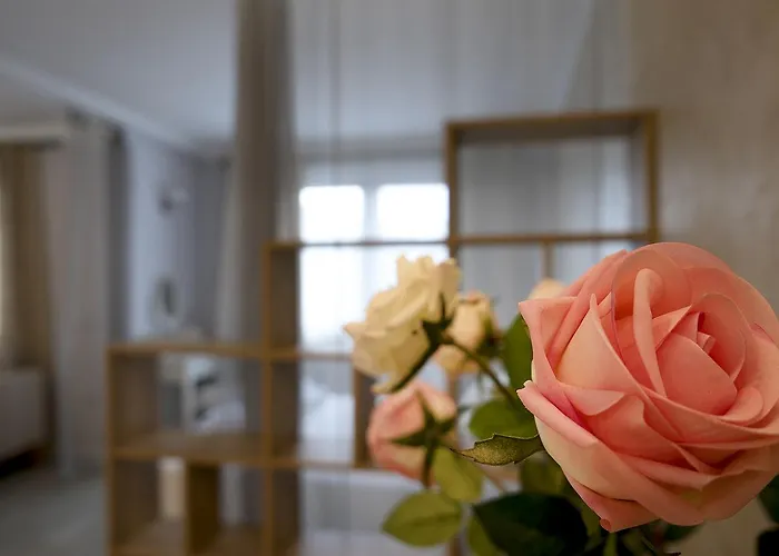 Shahbazian House * 플로브디프