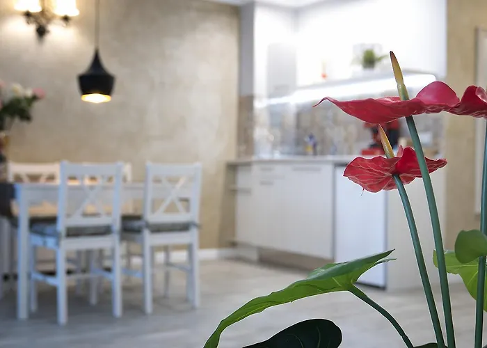 Shahbazian House * 플로브디프